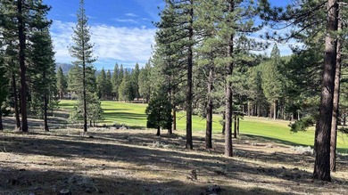 Beautifully treed, gently sloping 1.02 acre homesite with - photo 3