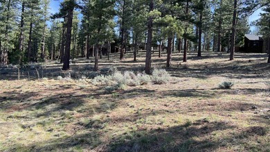 Beautifully treed, gently sloping 1.02 acre homesite with - photo 5