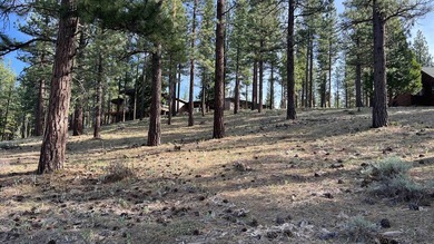 Beautifully treed, gently sloping 1.02 acre homesite with - photo 6