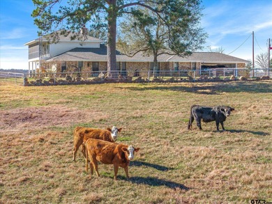 Rhine Lake Home For Sale in Van Texas