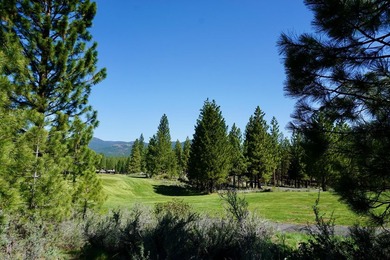 WHOOP! HERE IT IS! A rare and spectacular Gold Mountain lot that - photo 1
