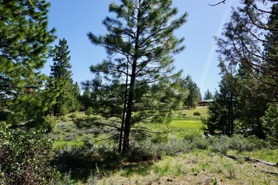 WHOOP! HERE IT IS! A rare and spectacular Gold Mountain lot that - photo 3