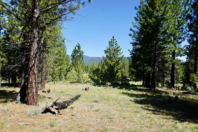 WHOOP! HERE IT IS! A rare and spectacular Gold Mountain lot that - photo 5