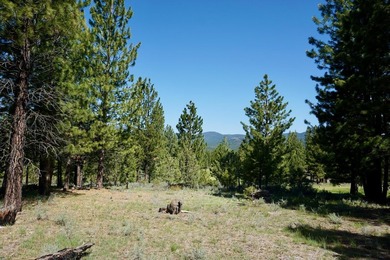 WHOOP! HERE IT IS! A rare and spectacular Gold Mountain lot that - photo 6