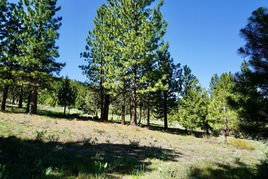 WHOOP! HERE IT IS! A rare and spectacular Gold Mountain lot that - photo 8