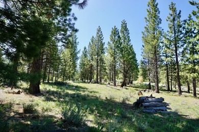 WHOOP! HERE IT IS! A rare and spectacular Gold Mountain lot that - photo 9