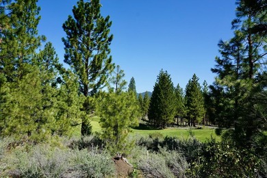 WHOOP! HERE IT IS! A rare and spectacular Gold Mountain lot that - photo 10