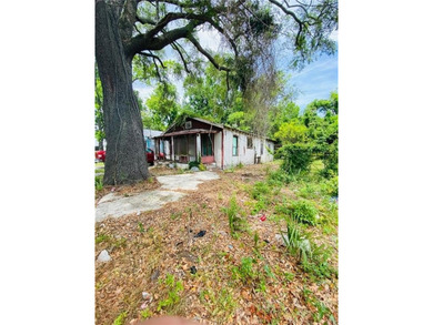 This property is perfect for a investor willing to remodel - photo 2