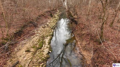 (private lake, pond, creek) Lot For Sale in Irvington Kentucky