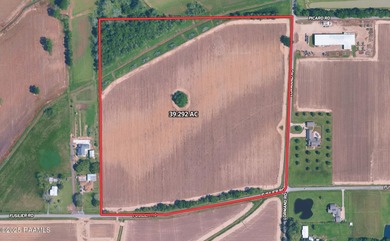 (private lake, pond, coastal) Acreage For Sale in Maurice Louisiana