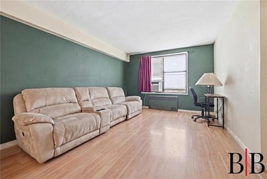 Exceptional value in a well maintained secure elevator building - photo 5
