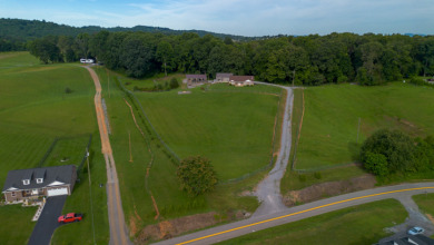 MINI FARM IN THE HEART OF DUMPLIN VALLEY! - photo 4