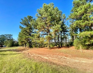 (private lake, pond, creek) Acreage For Sale in Doddridge Arkansas