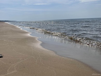 Lake Michigan - Schoolcraft County Acreage For Sale in Gulliver Michigan