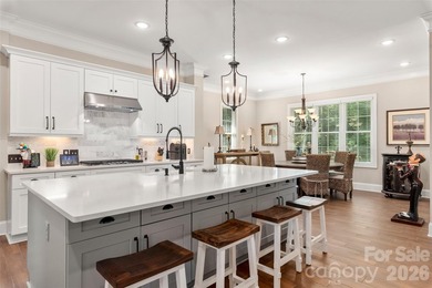 Experience the lifestyle you've been dreaming of in this - photo 11