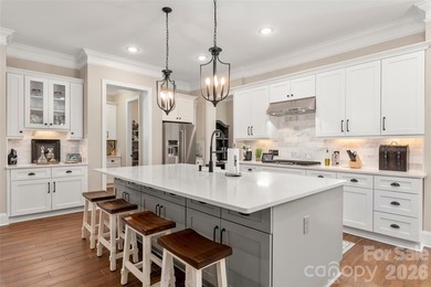 Experience the lifestyle you've been dreaming of in this - photo 12