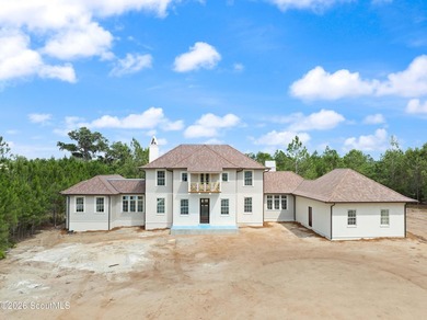 145 Kirkaldy Lane is a stunning new construction home currently - photo 2