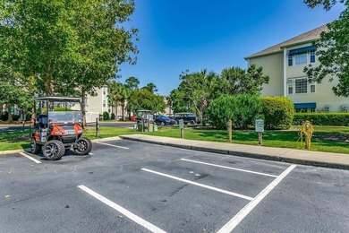 Savannah Shores is one of those communities that just feels - photo 24
