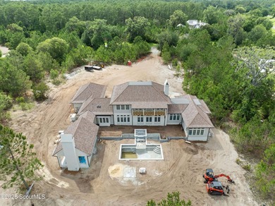 145 Kirkaldy Lane is a stunning new construction home currently - photo 9