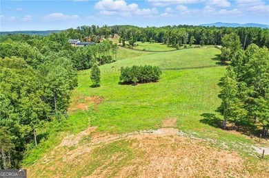 (private lake, pond, coastal) Acreage For Sale in Ball Ground Georgia