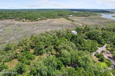 Discover the beauty of Georgia's coast with this 1.46-acre - photo 1