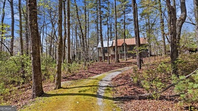Experience elevated mountain living in this beautiful Lake Rabun - photo 32