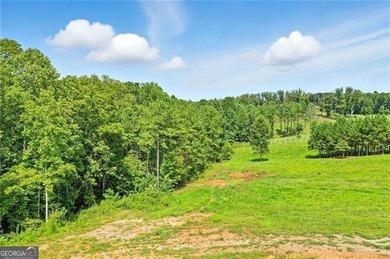 Additional listing photo 1