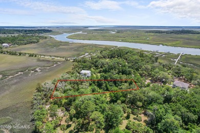 Discover the beauty of Georgia's coast with this 1.46-acre - photo 2