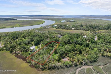 Discover the beauty of Georgia's coast with this 1.46-acre - photo 4