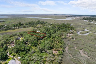 Discover the beauty of Georgia's coast with this 1.46-acre - photo 6