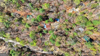 Experience elevated mountain living in this beautiful Lake Rabun - photo 37