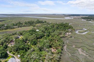 Discover the beauty of Georgia's coast with this 1.46-acre - photo 7