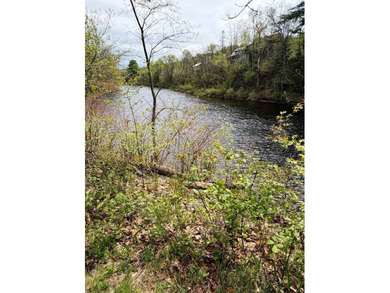 3+ bedroom house on 0.5+/- acres over 2 lots with frontage on - photo 39