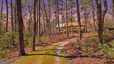 Experience elevated mountain living in this beautiful Lake Rabun - photo 40