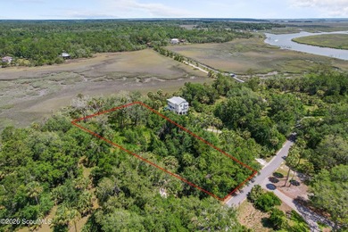 Discover the beauty of Georgia's coast with this 1.46-acre - photo 10