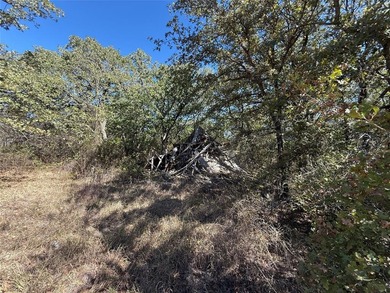 Lake Lot For Sale in Bowie, Texas