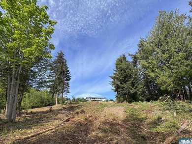 Exceptional 0.69-acre view lot in Solana Estates, a premier - photo 10