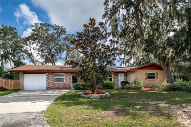 Lake Joanna Home Sale Pending in Eustis Florida