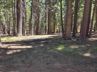 Located on a quiet street in Lake Almanor West, this lovely .38 - photo 1