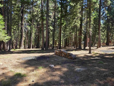 Located on a quiet street in Lake Almanor West, this lovely .38 - photo 2