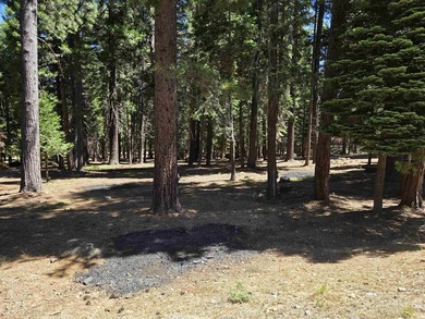 Located on a quiet street in Lake Almanor West, this lovely .38 - photo 4