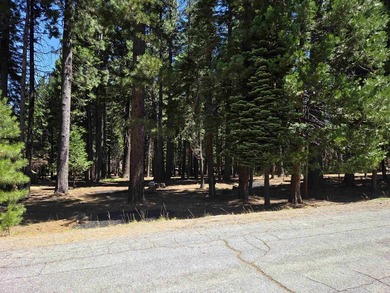 Located on a quiet street in Lake Almanor West, this lovely .38 - photo 5