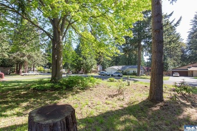 Single story home located on a corner oversized lot in a well - photo 6