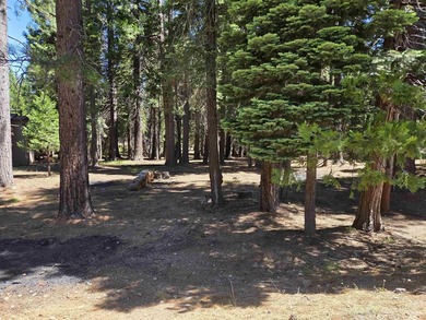 Located on a quiet street in Lake Almanor West, this lovely .38 - photo 6