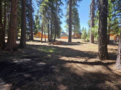 Located on a quiet street in Lake Almanor West, this lovely .38 - photo 7