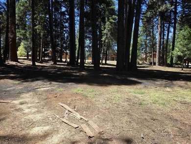 Located on a quiet street in Lake Almanor West, this lovely .38 - photo 8