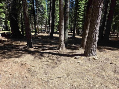 Located on a quiet street in Lake Almanor West, this lovely .38 - photo 9