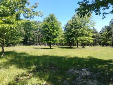 (private lake, pond, creek) Acreage For Sale in Lufkin Texas