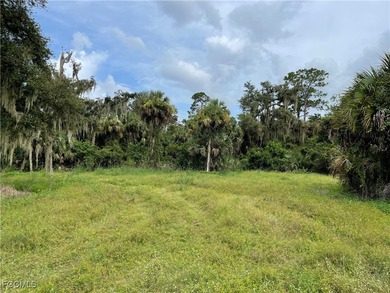 (private lake, pond, creek) Acreage For Sale in Labelle Florida