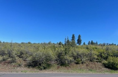 Upper Klamath Lake Lot For Sale in Klamath Falls Oregon